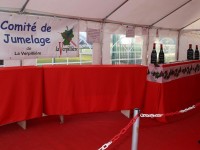 Organisation du Salon des Vins de La Verpillièrre